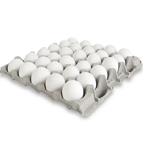 Egg Tray White 1 Crate 30PCS - طبق بيض